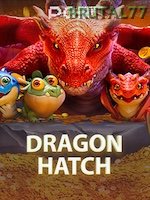 Dragon Hatch