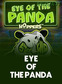 Eye Of The Panda